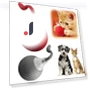 Automatic Rolling Ball Interactive Pet Toy — Interactive Animal Companions, Meiteai-All