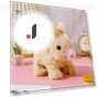 Electric Toy Dog — Interactive Animal Companions, Safety toy