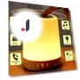 Portable Bluetooth Speaker with Touch Light — Portable Audio, HOME-Auto-001