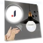 Smart PIR Motion Sensor LED Bulb — LED, Kitchenware