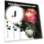 Solar Light LED Chrysanthemum Flower Garden Light — Garden Illumination, Smart Mouse