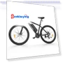 Electric Bike — E-Bikes, Foride