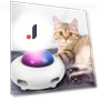 Smart UFO Teaser Toy for Cats — Cat Playthings, BC Pet Supplies