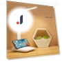 Desk Lamp with Eye Protection — Study & Desk Lighting, TaoPo Directs
