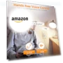 Превью Remote Voice Control Outlet Plug — Outlet Switches, TESSAN
