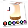 Night Light with Touch Sensor — Lamps & Shades, Binchi Lighting Appliances