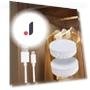 Rechargeable LED Motion Sensor Light — Garden Illumination, Xiao Home
