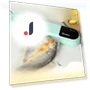 Vacuum Sealer Machine for Food — Vacuum Bags, Binchi Outdoor Equipment