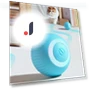 Self-moving Kitten Automatic Rolling Ball — Balls, lijianzcx4