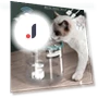 Smart Motion Sensor Water Switch — Pet Hydration Solutions, TIME IS LIFE