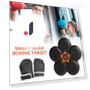 Smart Musical Boxing Target — Boxing Training Gear, Binchi Keji Travel