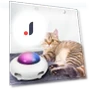 Automatic Cat Toy — Cat Playthings, Refreshing Home