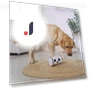 Automatic Smart Pet Toy Interactive Owl Robot — Cameras & Monitors, Yiran Furniture