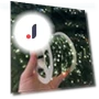Christmas Garland with Remote Control — String Lights, VITA Dogdog Smartwear