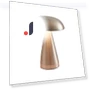 Mushroom Wireless USB Rechargeable Touch Switch — USB Lighting Solutions, Zhou Yajin