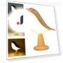 Rechargeable Touch-Sensitive Bird Night Light — Night Lights, Super Dream Home