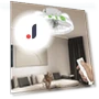 Smart Ceiling Fan — Ceiling Fans, Flowers living