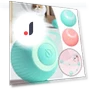 Automatic Rolling Ball Pet Toy — Cat Playthings, Wrigleys
