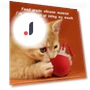 Automatic Rolling Ball Toy with Fake Tail — Cat Playthings, Super Dream Home