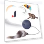 Electric Cat Toy Ball — Cat Playthings, Ren Sexy Toy