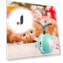 Electric Toy Ball for Cats — Cat Playthings, Wrigleys