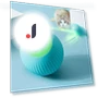 Interactive Cat Ball — Cat Playthings, Super Star Mall