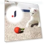 Interactive Cat Toy Rolling Ball — Balls, All in Watch