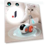 Smart Toy for Cats — Cat Playthings, Super Dream Home