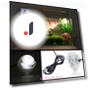 Aquarium LED Light — Lights, Luminaire Lighting Mall