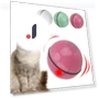 Automatic Rotating Toy for Cats and Dogs — Cat Playthings, NICEYARD Home Tools
