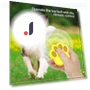 Interactive Smart Ball for Pets — Balls, Super Star Mall