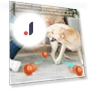 Smart Toy Ball for Dogs — Interactive Animal Companions, Super Dream Home