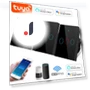 Smart Wall Switch — Smart Home Modules, MALITAI