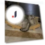 Automatic Touch Sensor Trash Bin — Waste Baskets, Super Dream Home