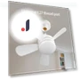 Smart LED Ceiling Fan with Remote Control — Ceiling Fan Lighting Solutions, Rainbow Rain
