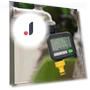Automatic Plant Watering Timer — Controllers, Dangerous