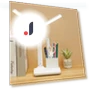 LED Desk Lamp with Dual Head and Holder — Study & Desk Lighting, DC-Home-2