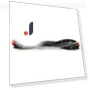 Replacement Main Brush — Accessories, TaoPo Directs