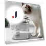 Professional Cat Water Fountain — Pet Hydration Solutions, Cuperay