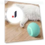 Self-moving Electric Ball for Kittens — Balls, boy