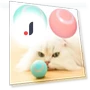 Automatic Rolling Exercise Chase Cat Toy — Cat Playthings, kuanhong