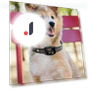 Smart Anti-Bark Collar for Dogs — Anti-Bark Training Devices, Colorful summer