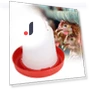 Automatic Chicken Feeder and Waterer — Poultry Hydration Solutions, Japan Zen Mall