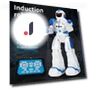 Gesture Recognition Robot with Remote Control — Interactive Figures & Robots, Oran Sky