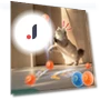 Interactive Jumping Ball for Cats — Balls, JUN JUN
