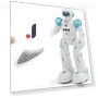 Multifunctional Robot Toy — Interactive Figures & Robots, MIYAKO DENKI