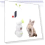 Intelligent Touch Stick for Teasing Cats — Cat Playthings, Mongolia1