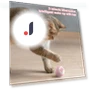 Smart Pet Toys — Balls, Mellowew