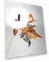 Spirits Vox Ignis SIDE ovid — Heroic Collectibles, MIYAKO