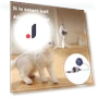 Automatic Cat Toy with Rolling Ball — Cat Playthings, fanweixi